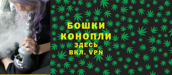 Альфа ПВП Новодвинск