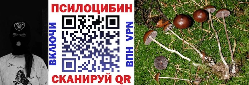 Галлюциногенные грибы прущие грибы Симферополь