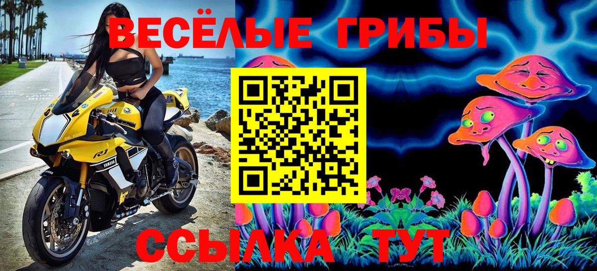 Псилоцибиновые грибы Magic Shrooms  Симферополь  Галлюциногенные грибы мухоморы 