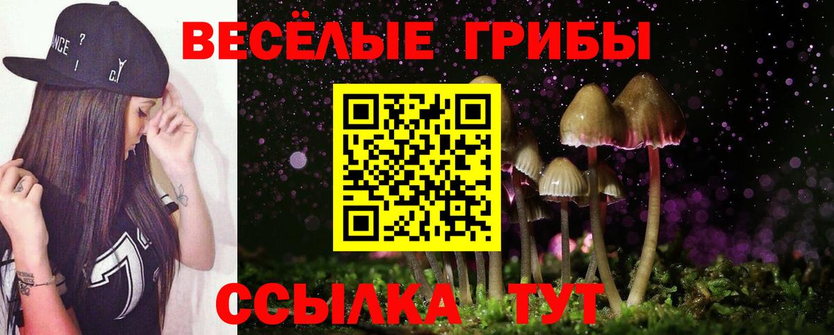 Псилоцибиновые грибы Magic Shrooms Симферополь